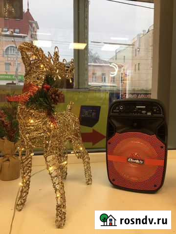 Портативная колонка OM-701 Калуга - изображение 1