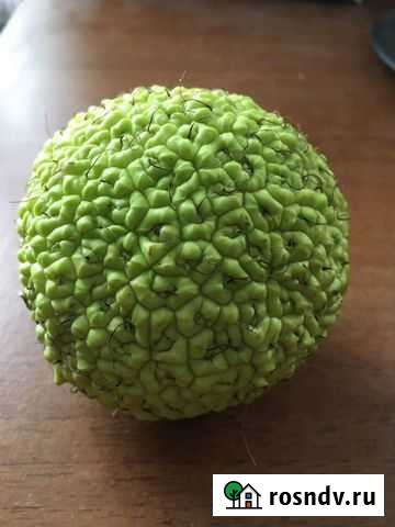 Продукты питания Миасс - изображение 1