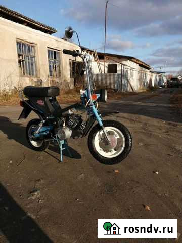 Мини Мокик Стелла Заречный - изображение 1