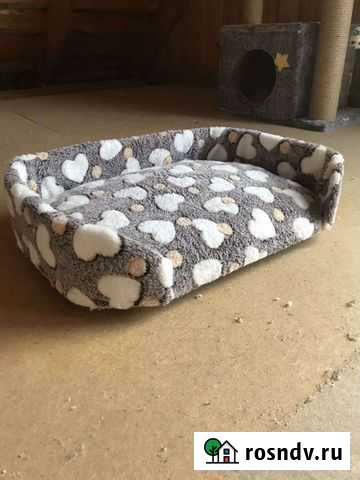 Лежанка для кота Кинель-Черкассы - изображение 1