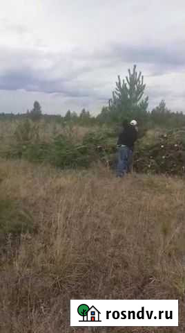 Елка Омск - изображение 1