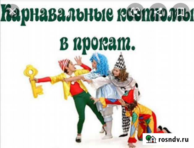 Новогодние костюмы на прокат Новозыбков - изображение 1