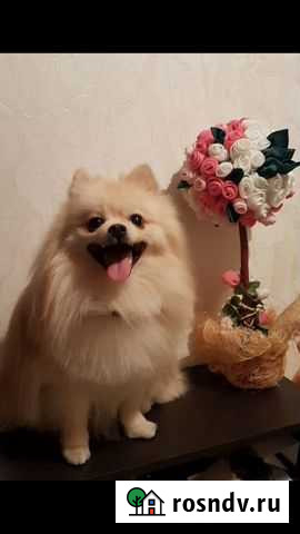 Вязка Москва - изображение 1