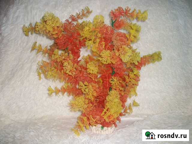 Искусственное растение Рубцовск - изображение 1