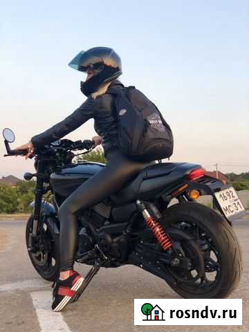 Продам Harley-Davidson Street Rod Дубовое - изображение 1