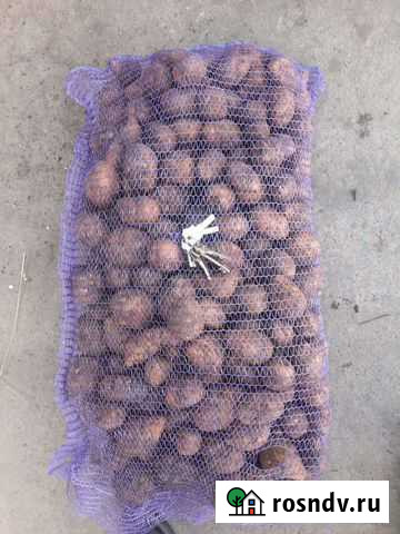 Картофель Крона 45+ бюджет Арзамас - изображение 1