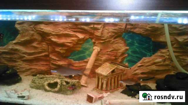 Аквариумный Объёмный Фон по вашим размерам Таганрог - изображение 1