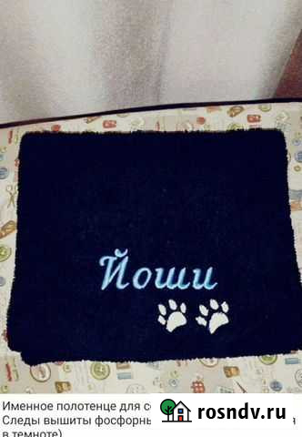 Полотенце для собачки Нижневартовск - изображение 1