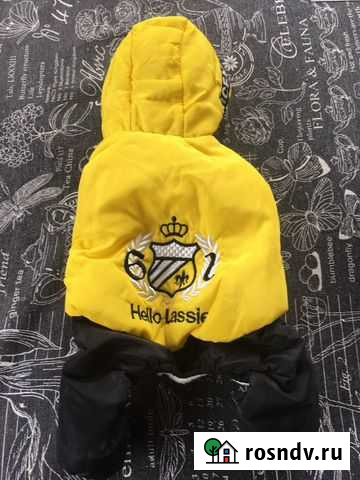 Комбенизон зимний для собак Щербинка - изображение 1