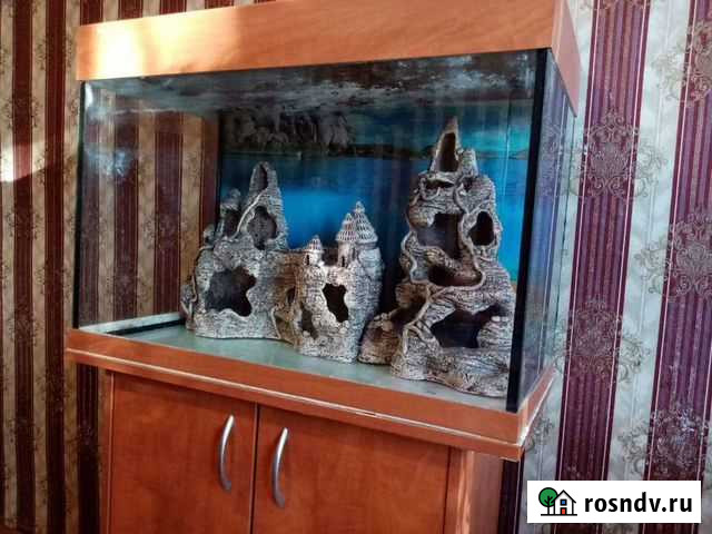 Аквариум с тумбой и фильтром Лев Толстой - изображение 1