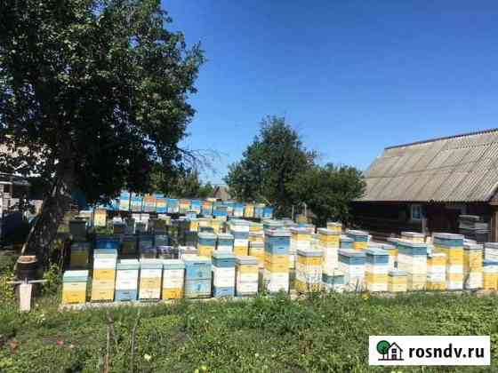 Мёд 2021 с личной пасеки Саратов