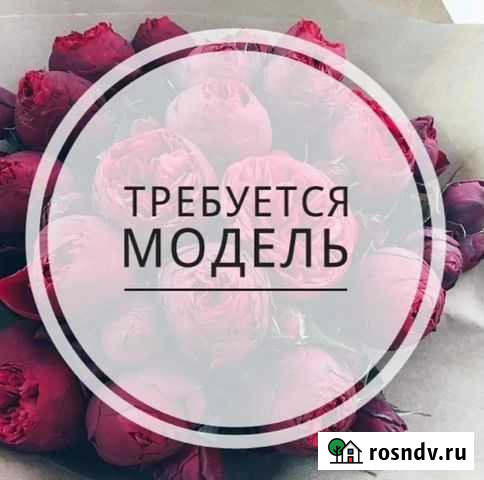 Модель в магазин с одеждой Калининград - изображение 1