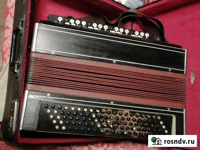 Баян Казань - изображение 1