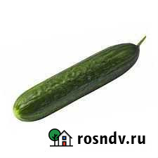 Яблоко Посьет - изображение 1