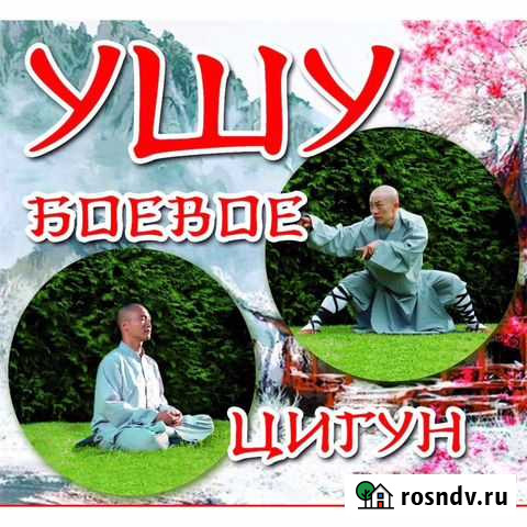 Занятия Цигун и Ушу Шоу Дао Волгодонск - изображение 1
