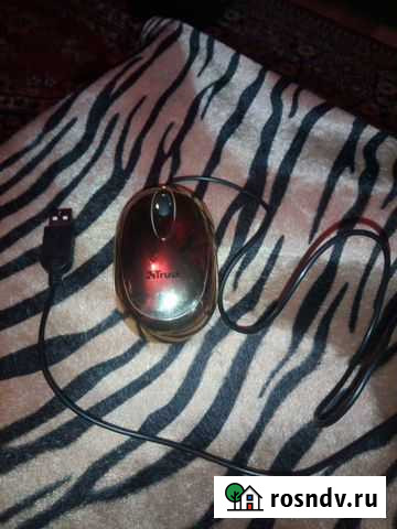 Мышь Мытищи - изображение 1