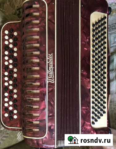 Баян weltmeisrer Курск - изображение 1