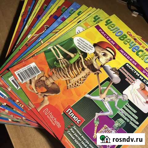 Журнал Собери и познай человечесоке тело + скелет Дзержинский - изображение 1