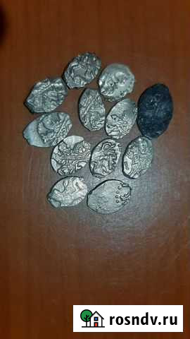 Чешуйки Спасск - изображение 1