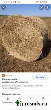 Солома соевая Тбилисская