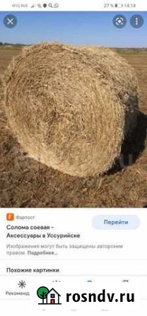 Солома соевая Тбилисская - изображение 1