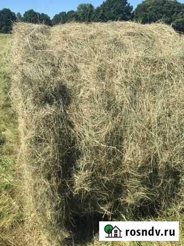 Сено Спасск-Рязанский - изображение 1