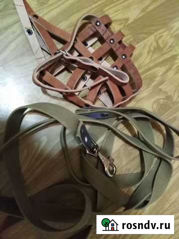 Для собак Лениногорск - изображение 1