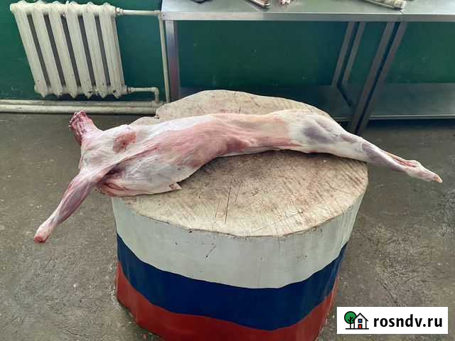 Живые бараны и свежая баранина с фермы. Халяль Истра - изображение 1