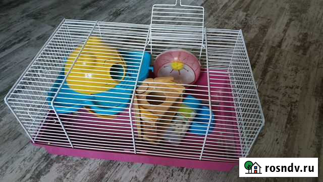 Клетка для хомяков Красногорск - изображение 1