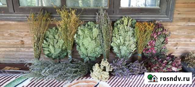 Кавказские дубовые веники для бани, травы,чай Горячий Ключ - изображение 1