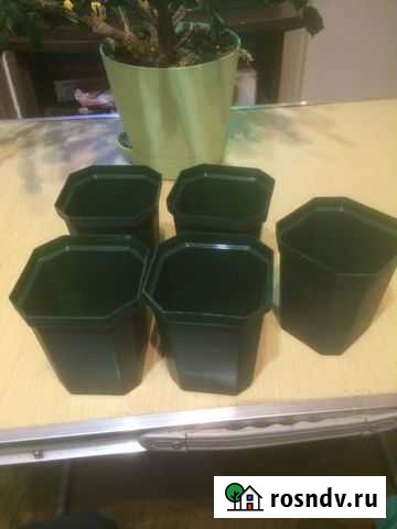 Новые,стакан рассадник 300мл/ 5 штук Санкт-Петербург - изображение 1