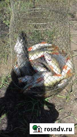 Дача 20 м² на участке 10 сот. на продажу в Таврическом Таврическое - изображение 1