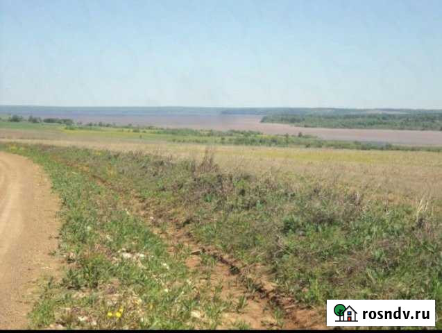 Участок СНТ, ДНП 95 сот. на продажу в Ильинском Пермского края Ильинский - изображение 1