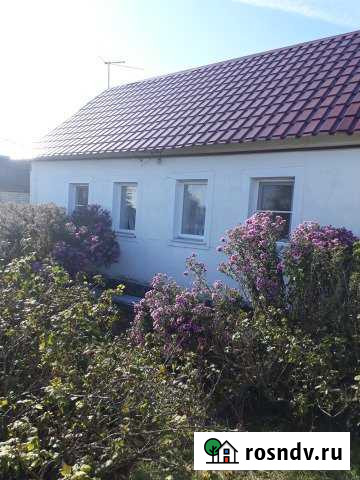 Дом 70 м² на участке 43 сот. на продажу в Боринском Боринское - изображение 1