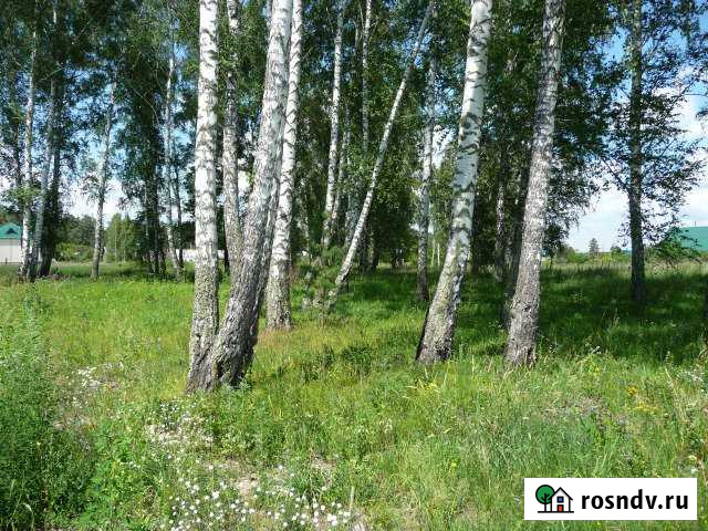 Участок СНТ, ДНП 19 сот. на продажу в Новоалтайске Новоалтайск - изображение 1