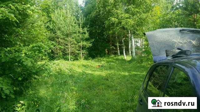 Участок СНТ, ДНП 14 сот. на продажу в Чудово Чудово - изображение 1