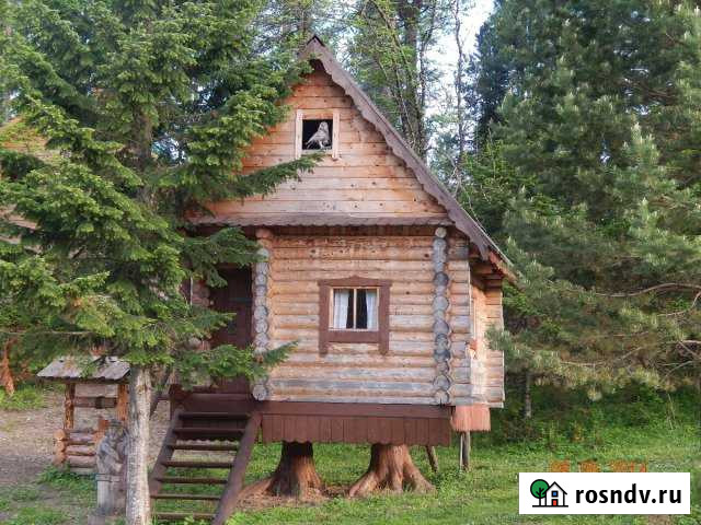 Коттедж 20 м² на участке 12 сот. в аренду посуточно в Барнауле Барнаул - изображение 1