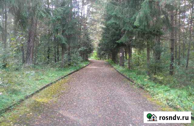 База отдыха Химик, площадь участка 35000 кв.м. Алексин - изображение 1