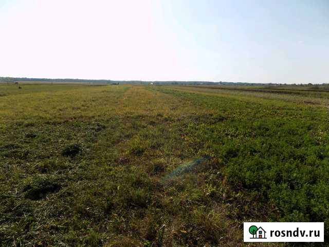 Участок СНТ, ДНП 30 сот. в аренду в Канаше Канаш - изображение 1