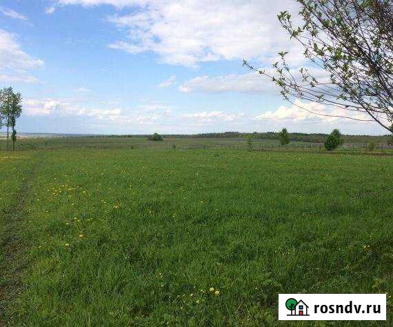 Участок ИЖС 50 сот. на продажу в Красных Четаях Красные Четаи - изображение 1