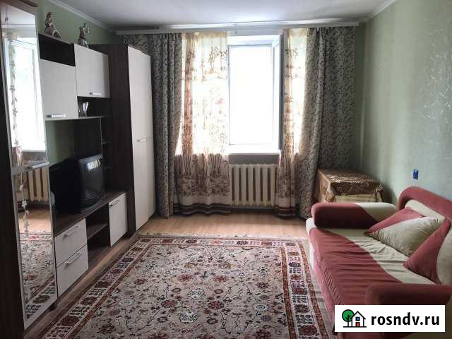 1-комнатная квартира, 40 м², 2/5 эт. в аренду на длительный срок в Грэсовском Грэсовский - изображение 1