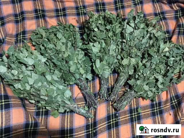 Веники березовые для бани Санкт-Петербург - изображение 1