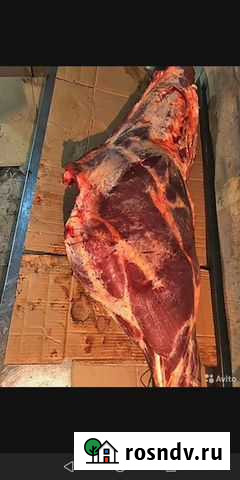 Мясо говядина Ангарск - изображение 1