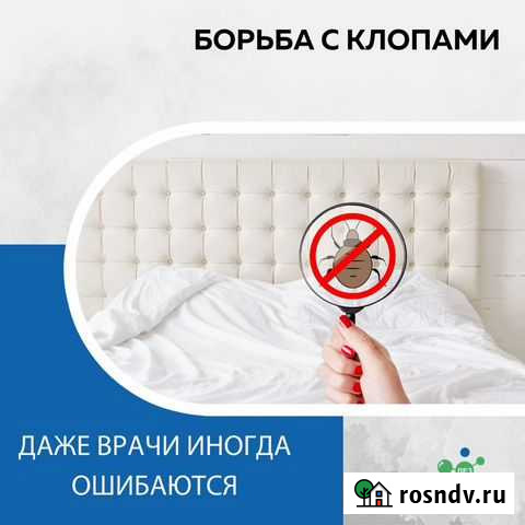 Уничтожение клопов Нефтекамск - изображение 1