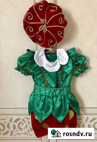 Костюм клубники Славянск-на-Кубани - изображение 1