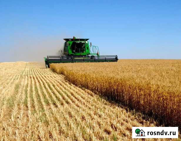 Земля сельхозназначения Брюховецкая - изображение 1