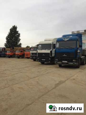 Седельный тягач МАЗ 354323 Балашиха - изображение 1