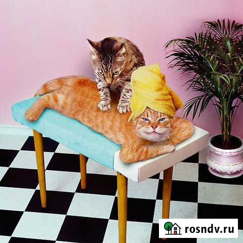 Детский массаж Комсомольск-на-Амуре - изображение 1