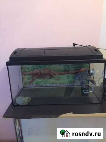 Аквариум Одинцово - изображение 1