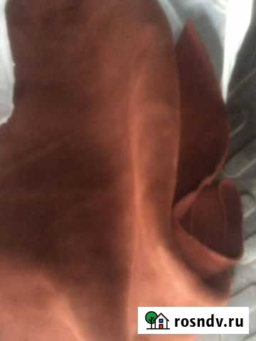 Замша наруральная Махачкала - изображение 1